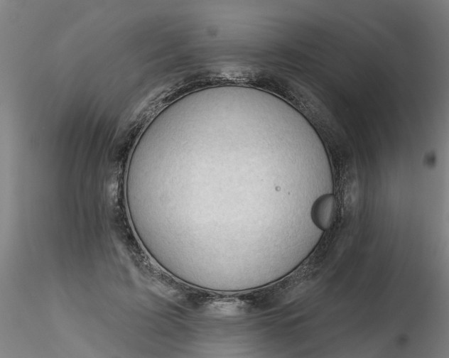 X0000116340595200912221442