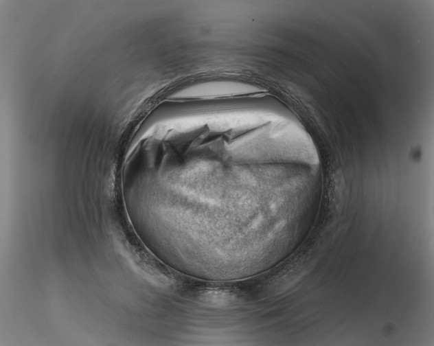 X0000116340596200912221442