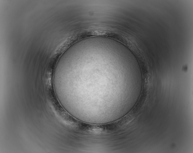 X0000116340598200912221442