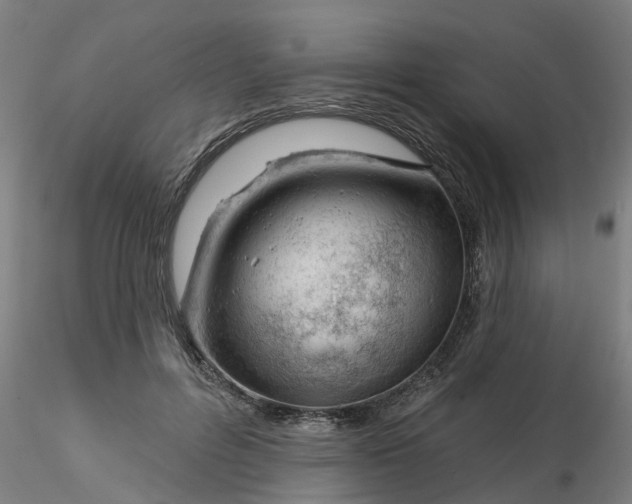 X0000116340600200912221442