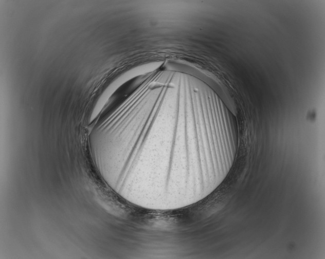 X0000116340601200912221442