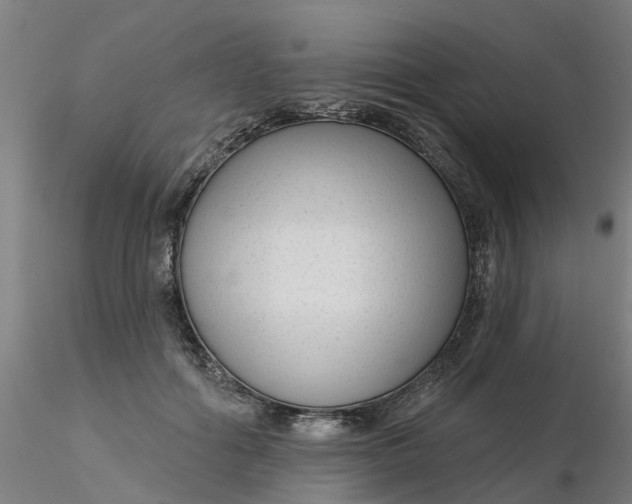 X0000116340602200912221442