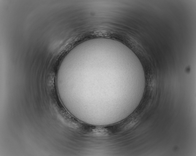 X0000116340603200912221442