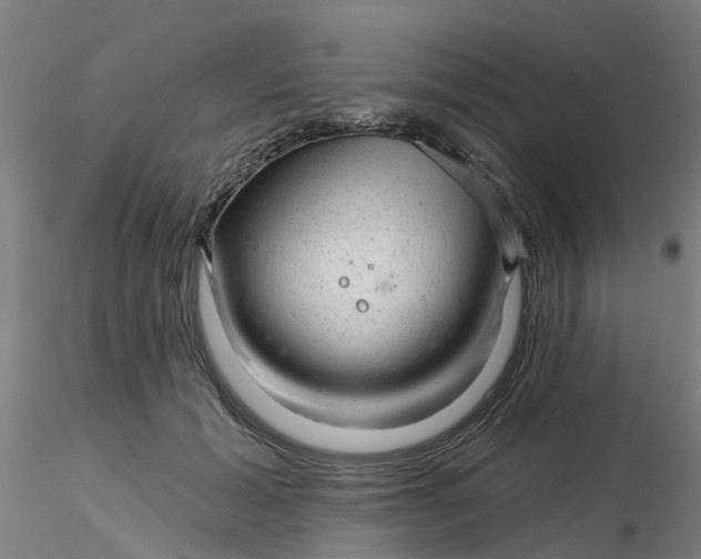 X0000116340605200912221442