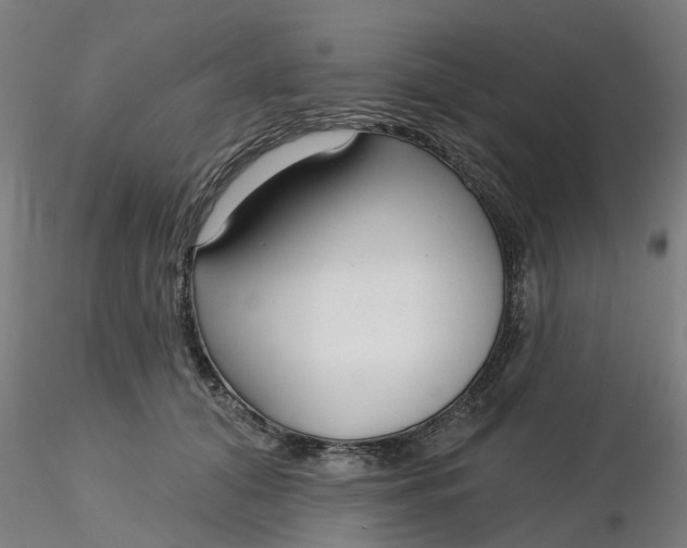 X0000116340608200912221442