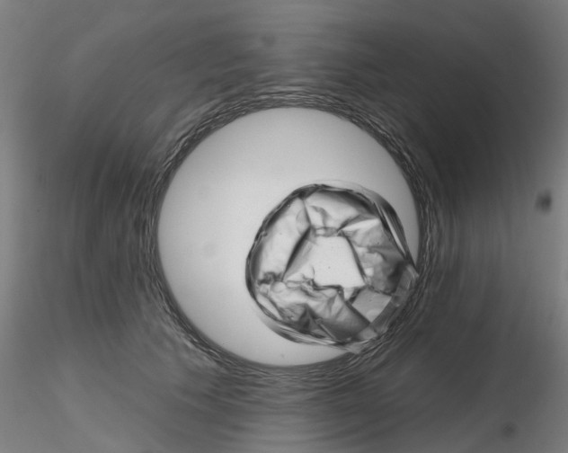 X0000116340609200912221442