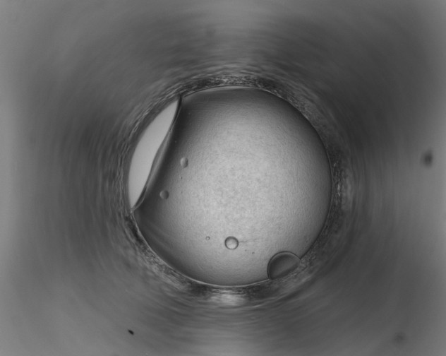 X0000116340610200912221442