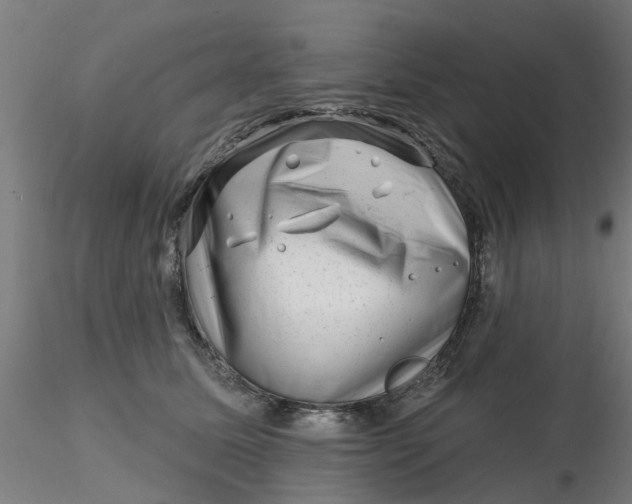 X0000116340611200912221442