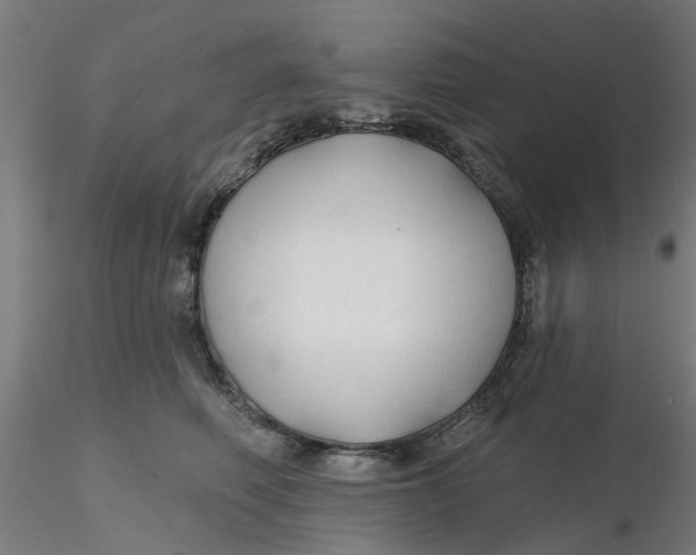 X0000116340614200912221442