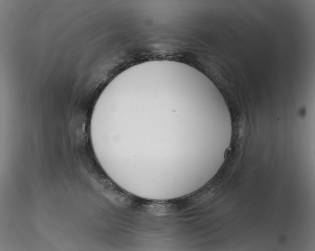 X0000116340615200912221442