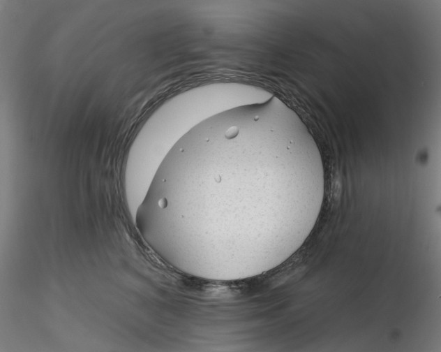 X0000116340616200912221442