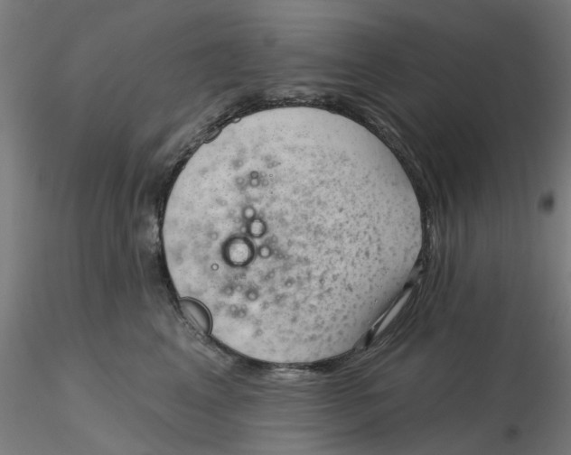 X0000116340617200912221442