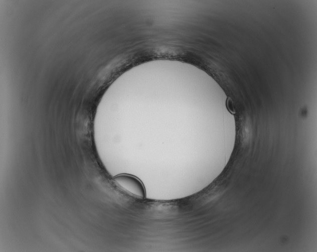 X0000116340619200912221442