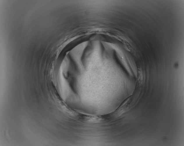 X0000116340621200912221442