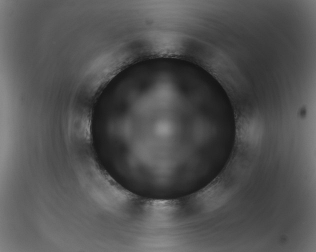 X0000116340622200912221442