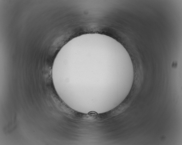 X0000116340624200912221442