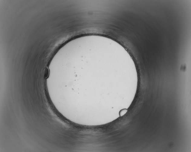 X0000116340625200912221441