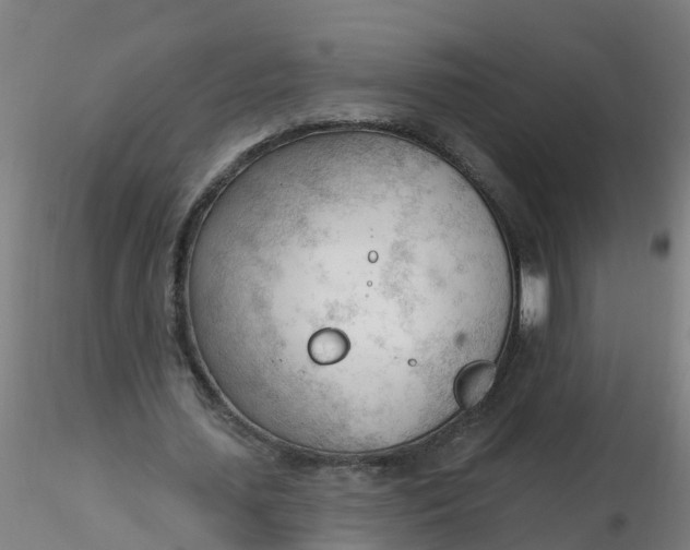 X0000116340627200912221441