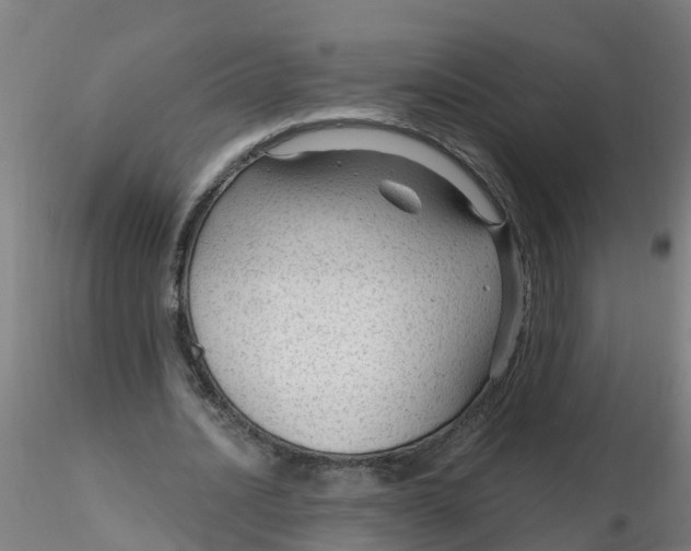 X0000116340628200912221441