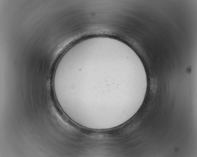 X0000116340629200912221441