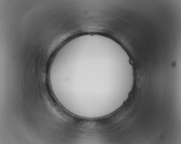 X0000116340631200912221441