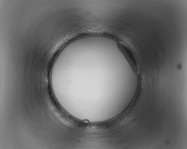 X0000116340634200912221442