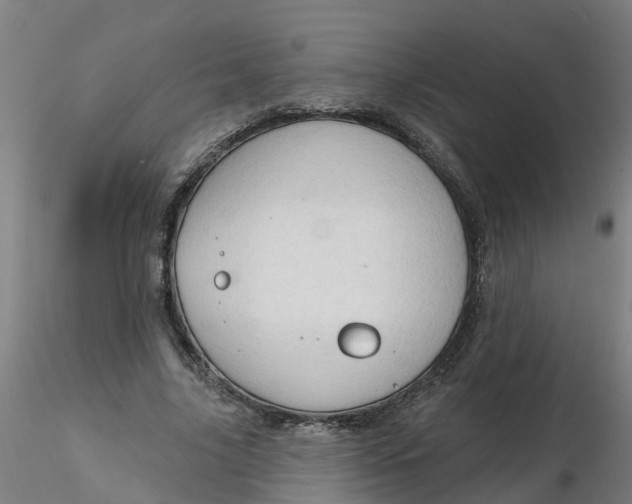 X0000116340635200912221442