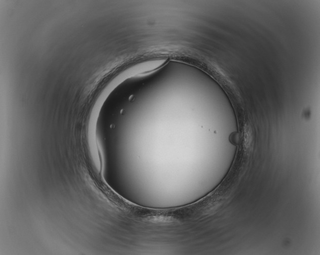 X0000116340637200912221442