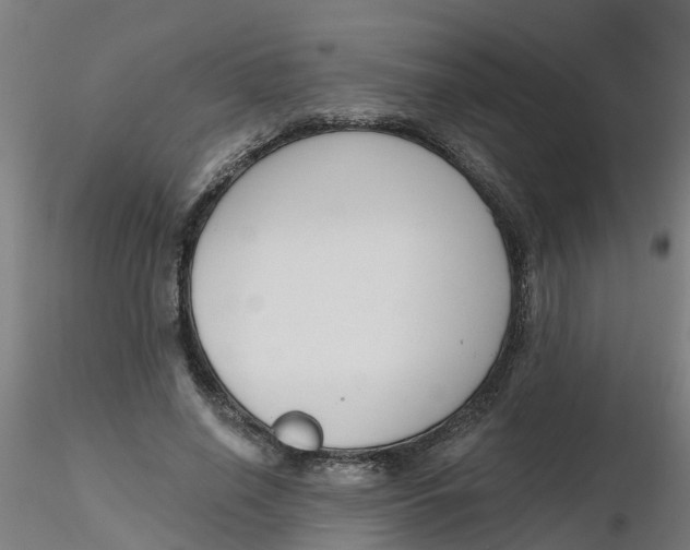 X0000116340638200912221442