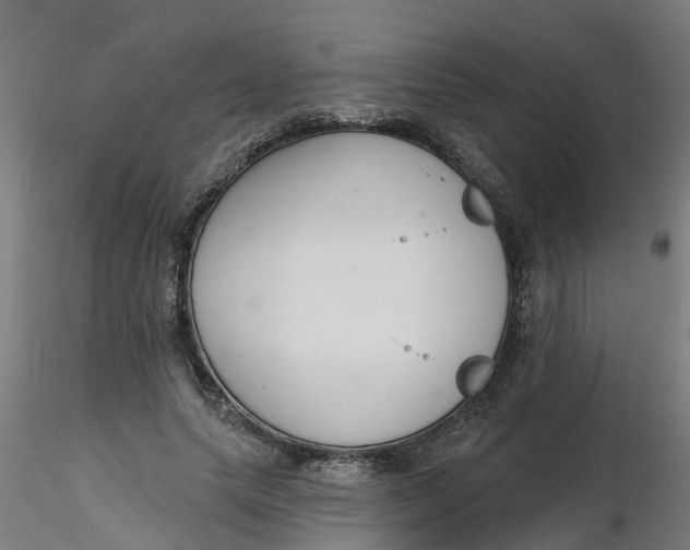 X0000116340639200912221442