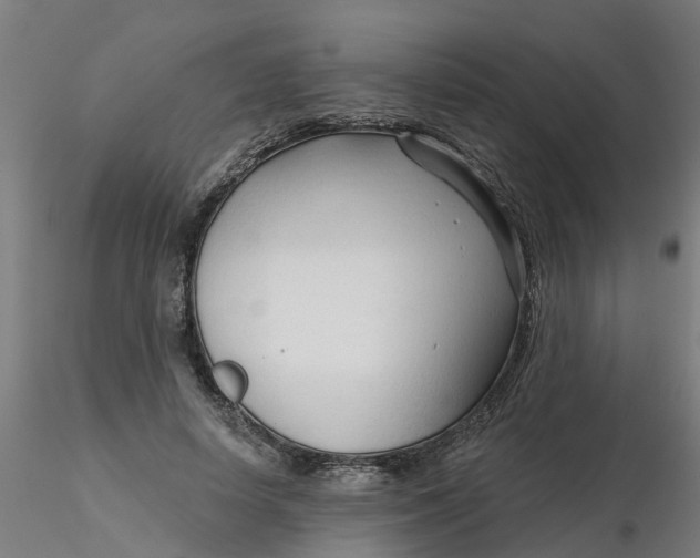 X0000116340642200912221442