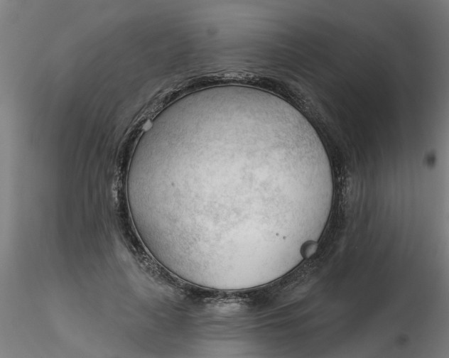 X0000116340643200912221442