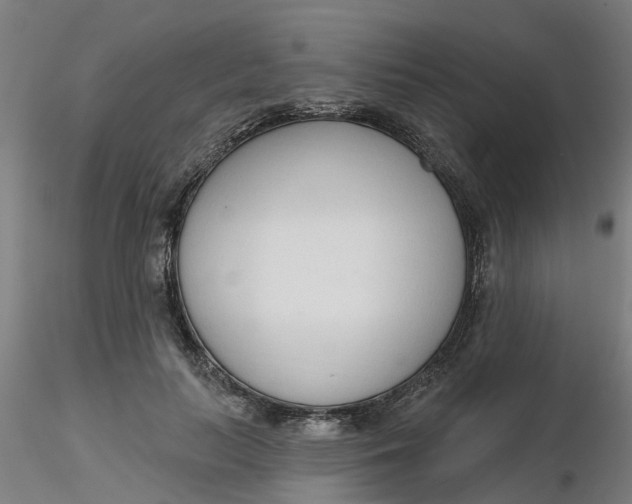 X0000116340647200912221442