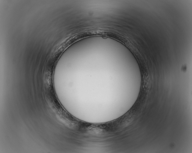 X0000116340648200912221442