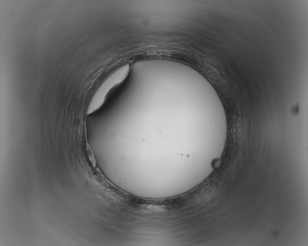 X0000116340649200912221442