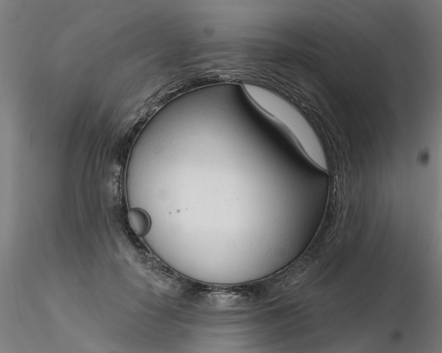 X0000116340650200912221442