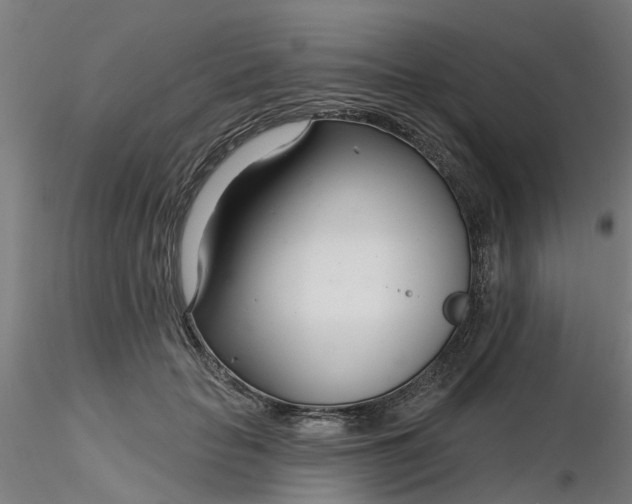 X0000116340653200912221442