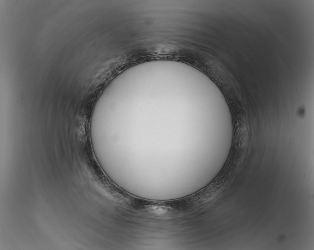 X0000116340654200912221442