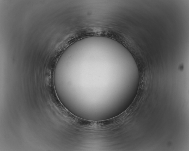 X0000116340656200912221442