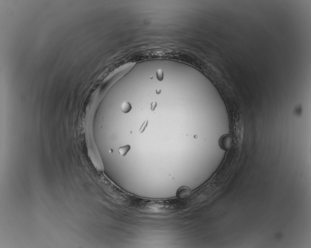 X0000116340657200912221442