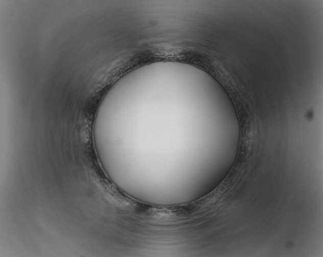 X0000116340658200912221442