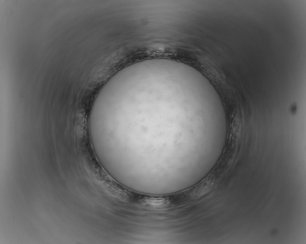 X0000116340659200912221442