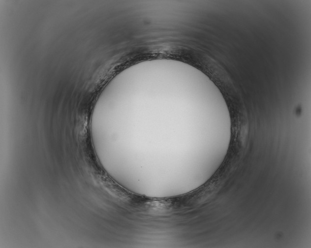 X0000116340660200912221442