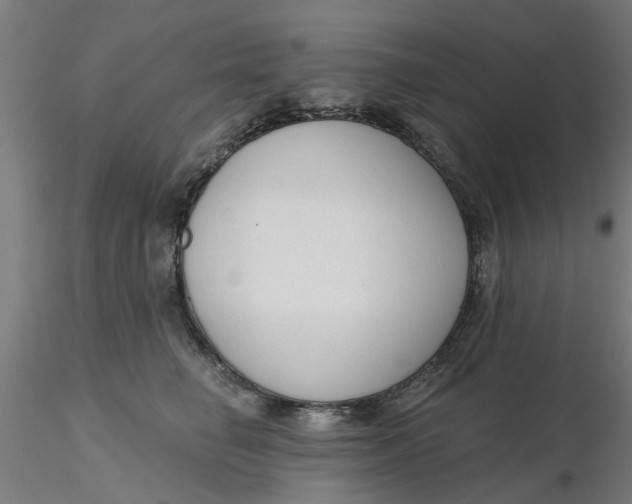 X0000116340662200912221442