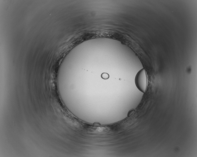 X0000116340663200912221442