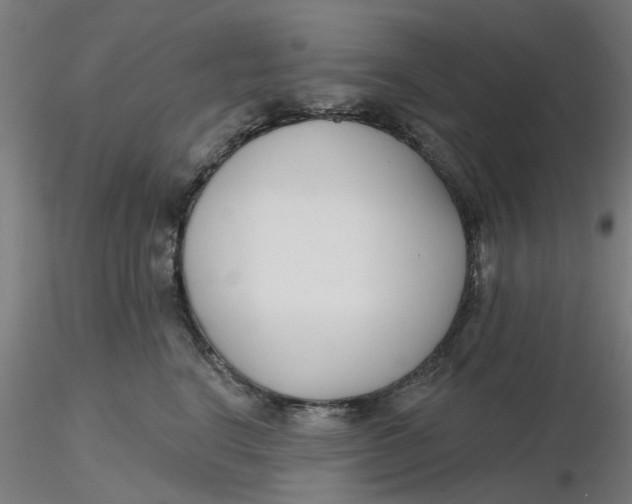 X0000116340664200912221442