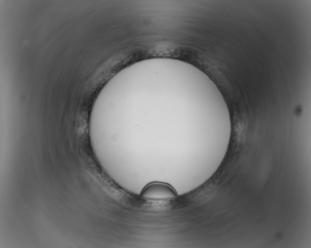 X0000116340665200912221442