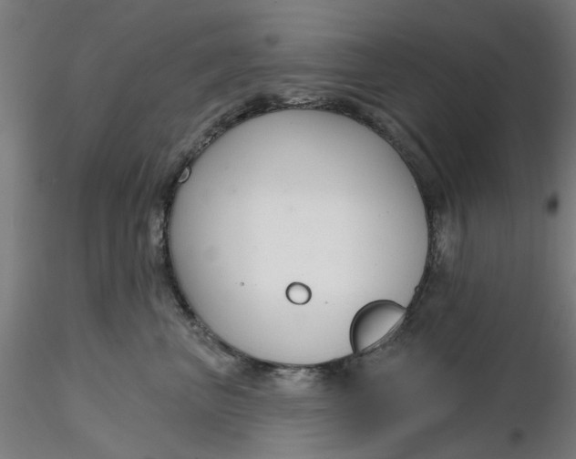 X0000116340667200912221442