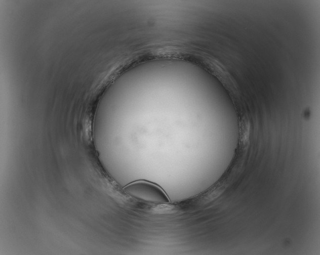 X0000116340669200912221442