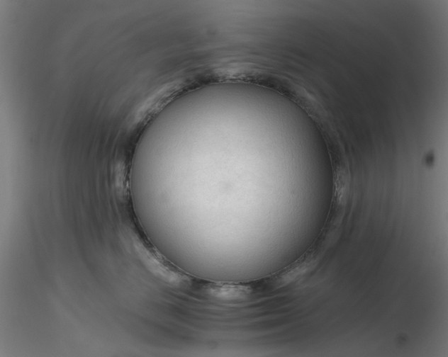 X0000116340670200912221442